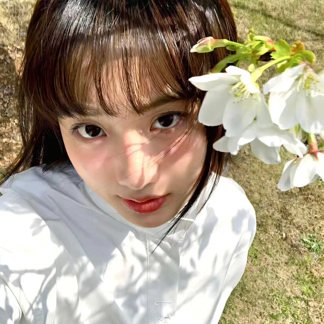 恐龙凶面目